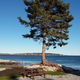 Oceanfront RV site at Gray Homestead Camping