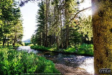 Sulphur Campground 2