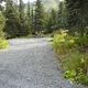 TENDERFOOT CREEK