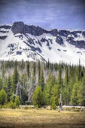 THREE CREEKS MEADOW HORSE CAMP