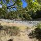 Quartzville Creek Group Camp