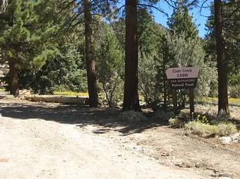 Coon Creek Group Campground