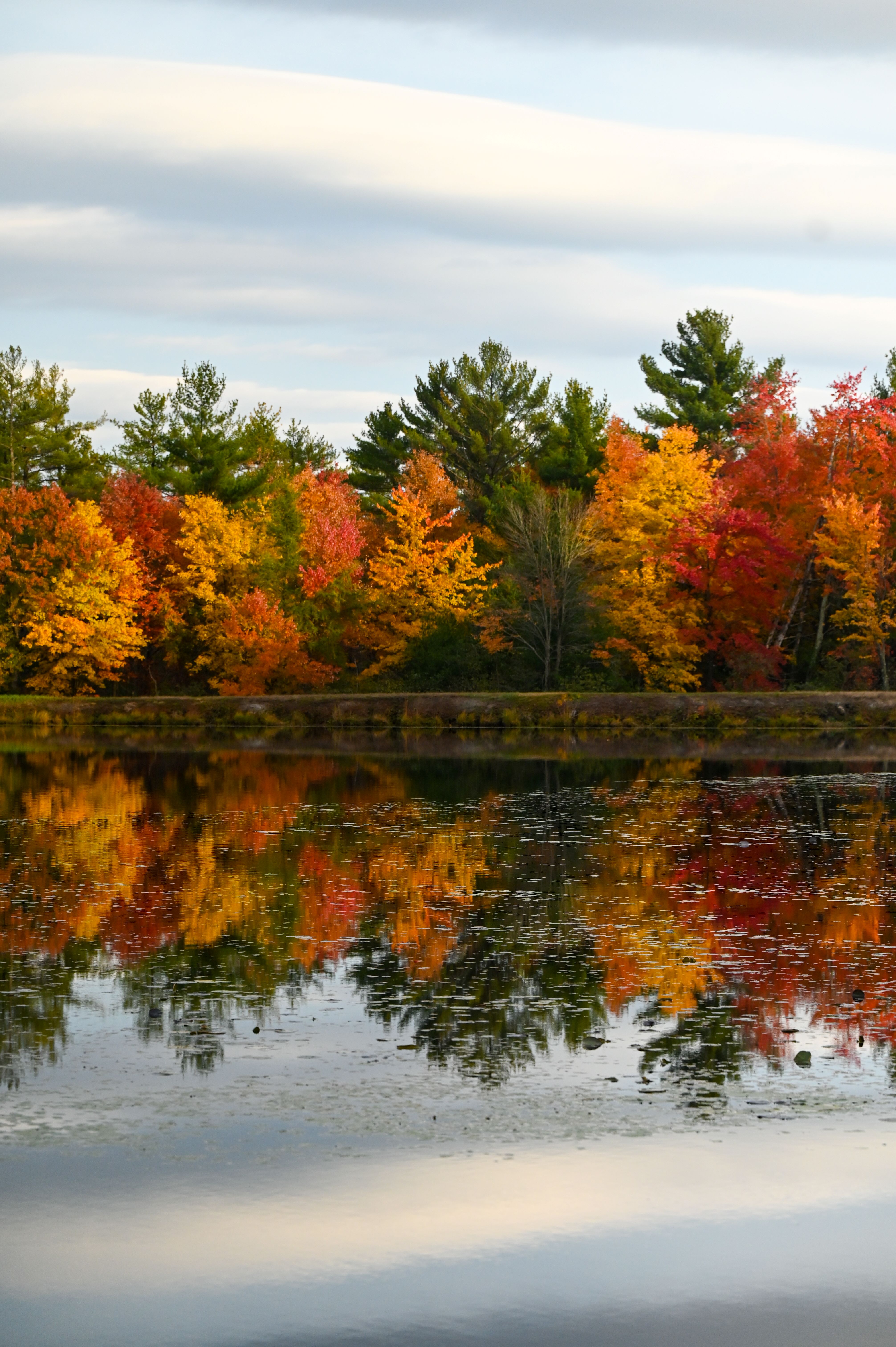 McMullen Memorial County Park