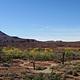 Panoramic view of the desert campground with a ribbon of cottonwood trees and Six Shooter Peak in the background.