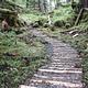 Trail