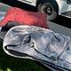 CT RV Adventures - Sunseeker