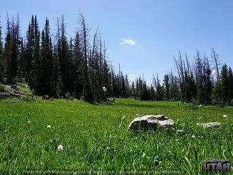 LOST CREEK CAMPGROUND