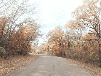 Redbud Bay in the fall