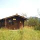 Koknuk Cabin surrounded by vegetation