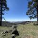 scenic overlook  mountains between two pine trees