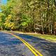 Park Central Road in Greenbelt Park, Maryland