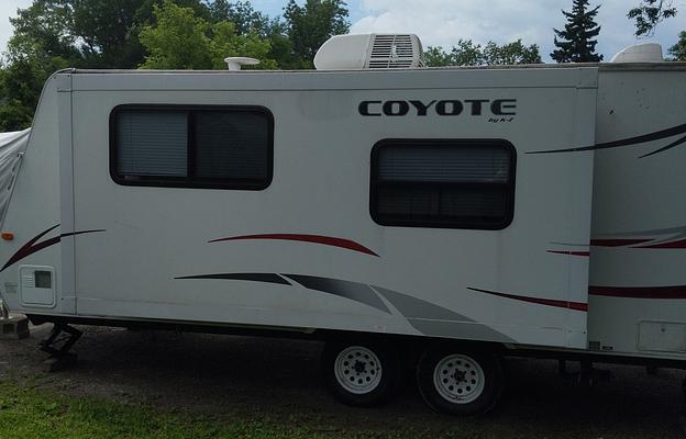 coyote lifestyle