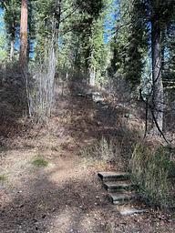 Bad Bear Campground