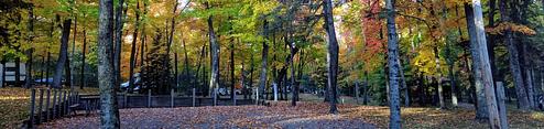 Leech Lake Rec Area