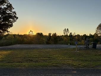 Black Bear Plantation