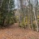 Woodland trail through the trees showing campsite surroundings and hiking/nature setting — useful to illustrate wooded environment and trails on the property; sourced from the campground website.