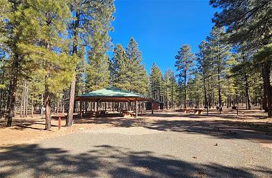 Tusayan-Montane Group Site