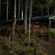 Twelvemile Cabin