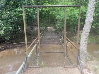 A narrow suspended footbridge with metal handrails crossing the creek into the woods.