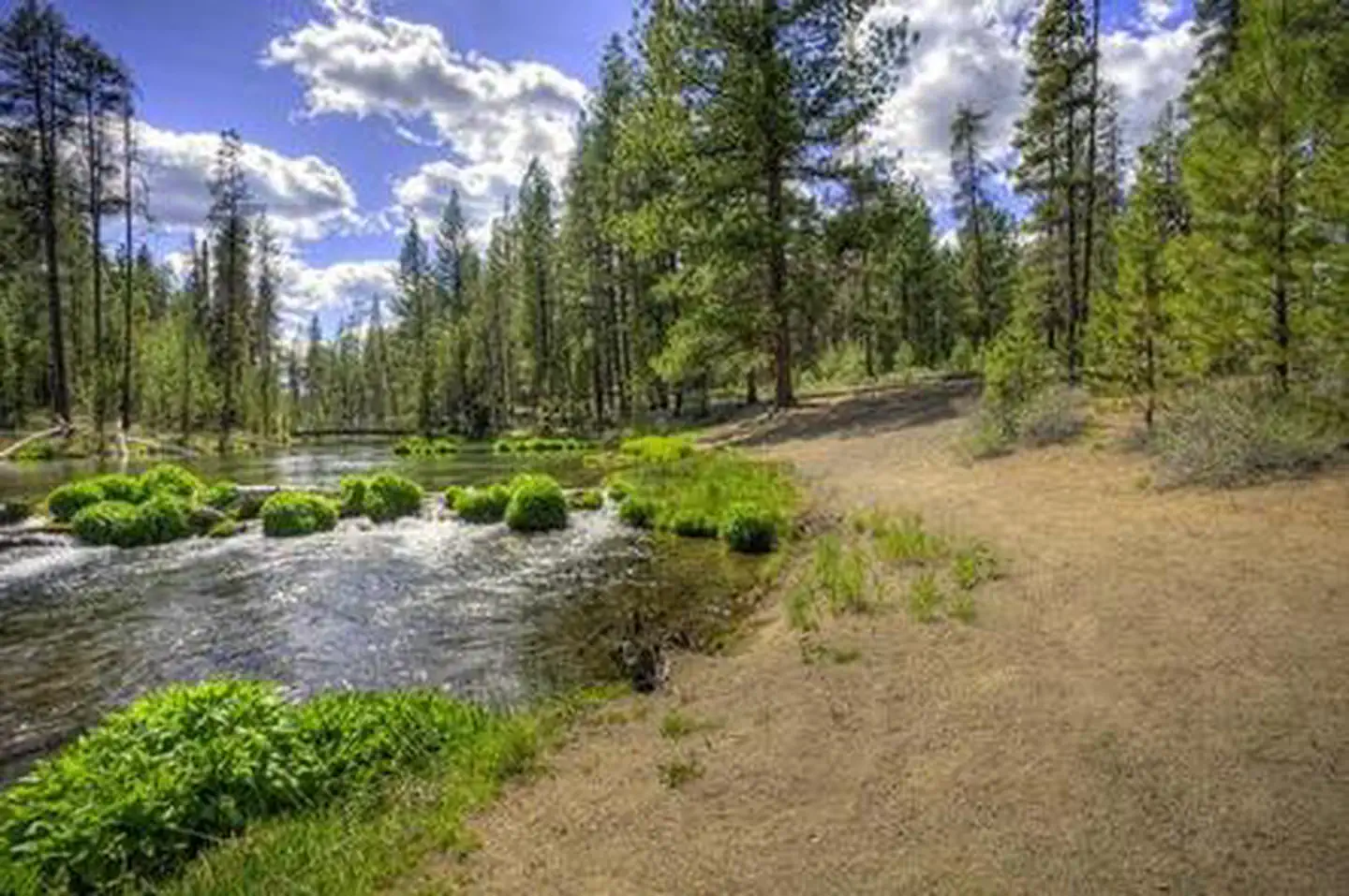 Fall River Campground