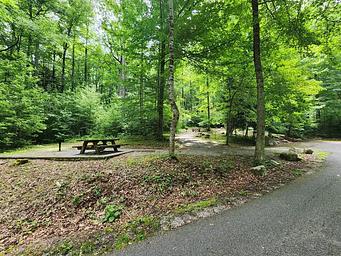 Picnic Area