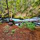 Clearwater River