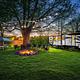 The Tumbleweed | Bunk House (Sleeps 8)