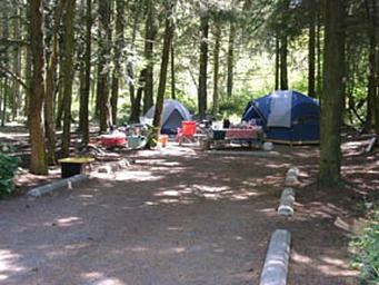 Campground image 2