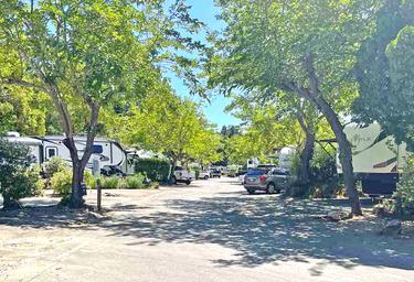 Santa Cruz Ranch Campground