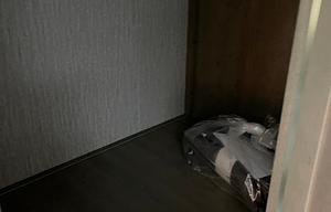 2023 Coachmen RV Freelander 26DS Ford 450