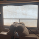 2009 Heartland Bighorn 3055RL
