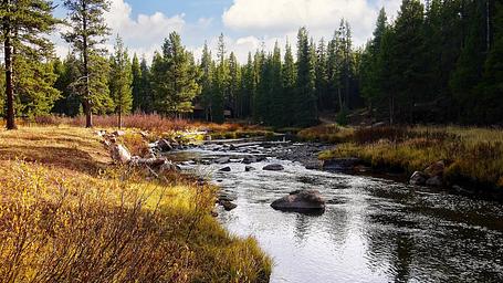 Prune Creek