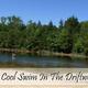Sandy beach and small lake with wooded shoreline — depicts the campground’s lake swimming area referenced on the site (homepage lake image).