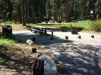 COLLEGE site 5