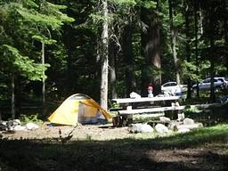 Cedar Springs Campground (WA)