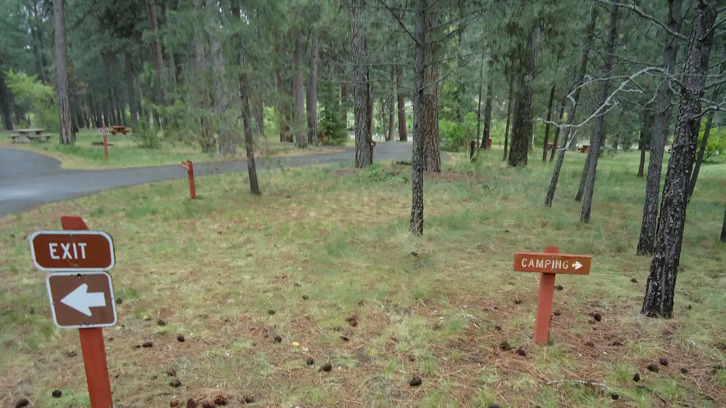 Sloway Campground (MT)