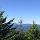 View from Bald Knob Lookout