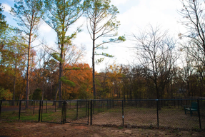The Pines RV & Cabin Resort