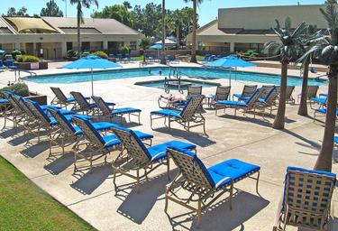 Clear photo of the main pool area with lounge chairs and umbrellas, showing guest amenities and adjacent buildings — matches resort pool images on the property page.