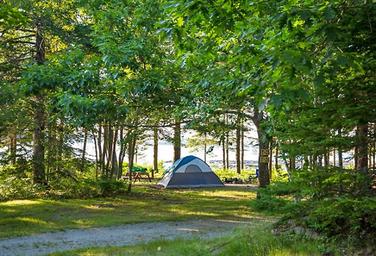 Mt Desert Narrows Campground