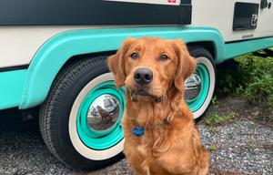 Modern 50s Style Travel Trailer with Outdoor TV!