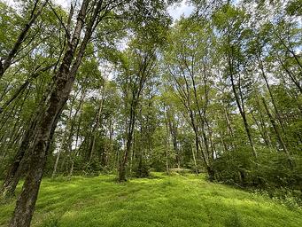Campspot slideshow image 2