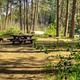 PINE REST CAMPGROUND
