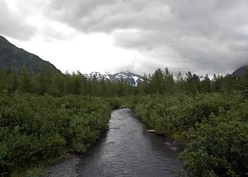 Williwaw Campground