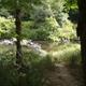 Siuslaw River Access.