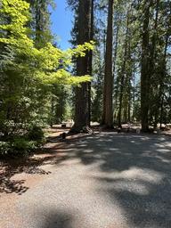 Ice Cap Campground