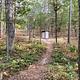 Pit toilet in the woods