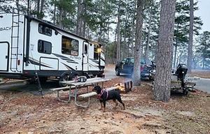 The Outback
