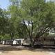 RV sites under large trees with concrete pads and pull‑through rigs — clear view of the campground's RV accommodations as shown in site background images.