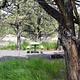 South Steens Campground